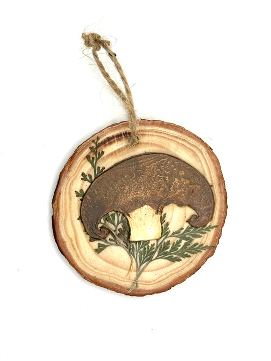 Dried mushroom ornament